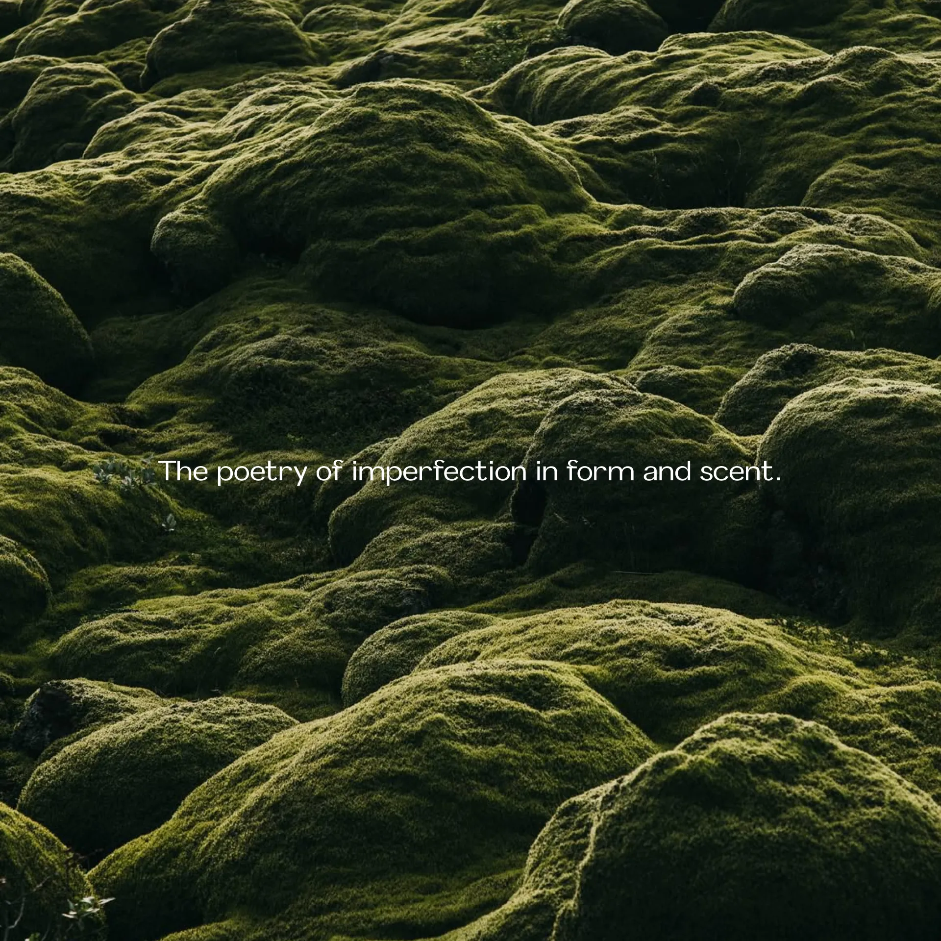 The poetry of imperfection in form and scent