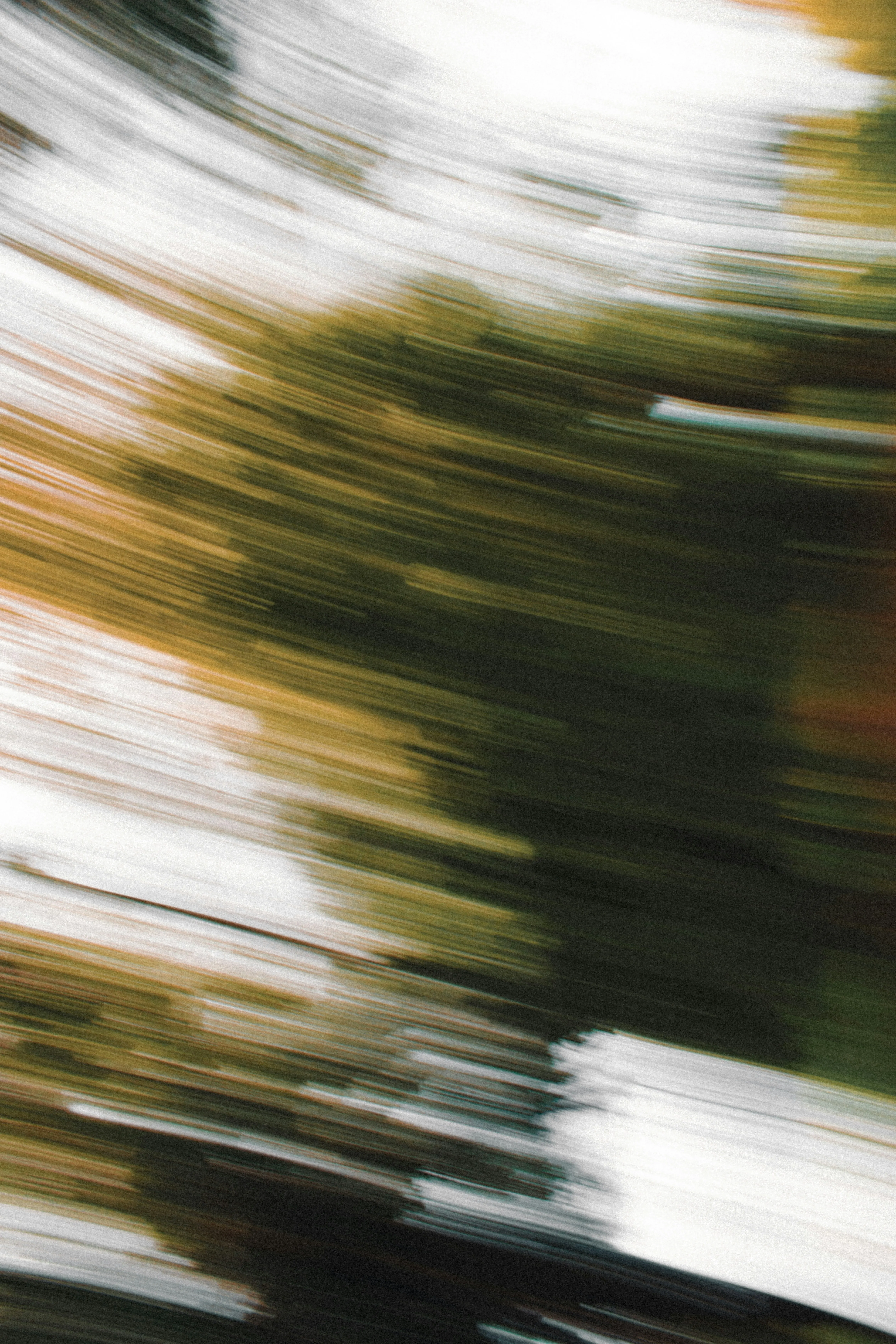 A blurry image of a forrest